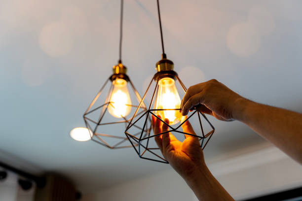 Best Generator Installation Services  in Willacoochee, GA