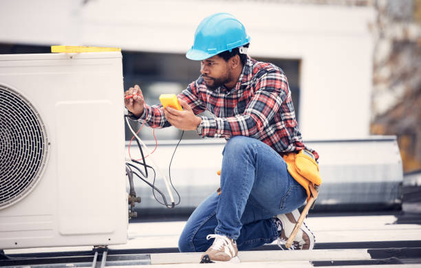 Best Affordable Electrician  in Willacoochee, GA